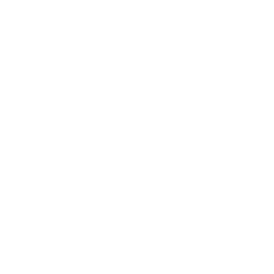 VANDAL2.png