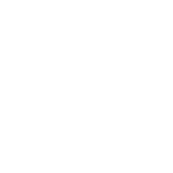 bhp.png