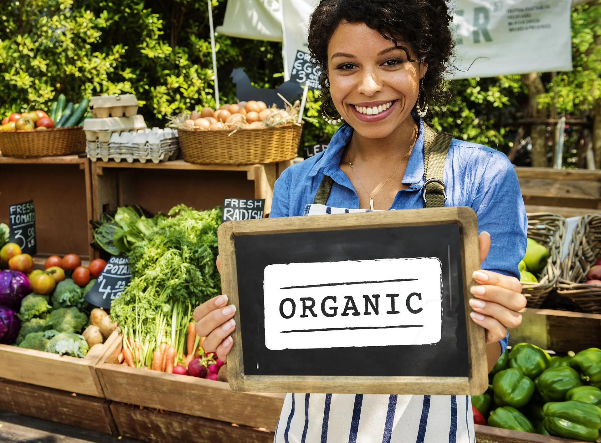 organic-3976734_1920.jpg