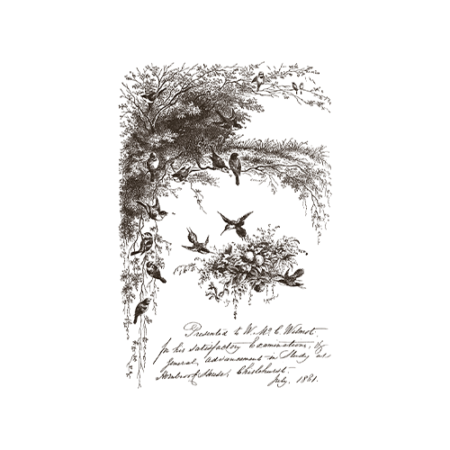 Texas In-Laws IOD LITTLE LARK PAINT INLAY 8x12 (8 SHEET) PAD BY IRON ORCHID DESIGNS