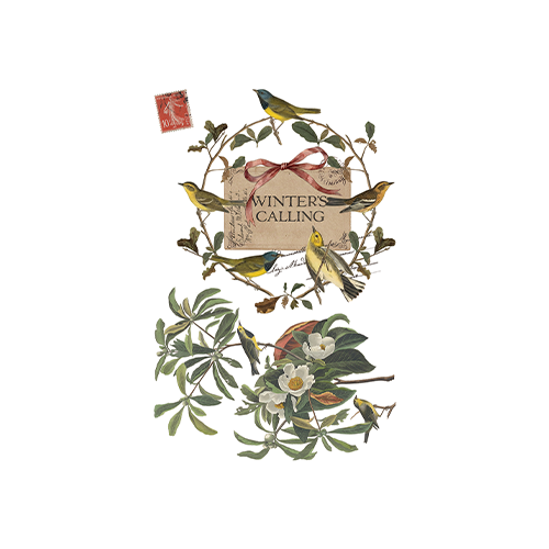 Texas In-Laws IOD Winter's Calling Decor Transfer 8 Pages (8X12 Pad) By Iron Orchid Designs