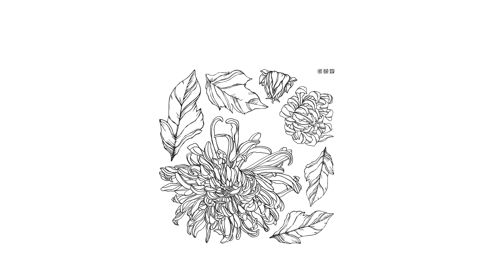 Texas In-Laws IOD Decor Stamp Chrysanthemum 12×12 By Iron Orchid Designs