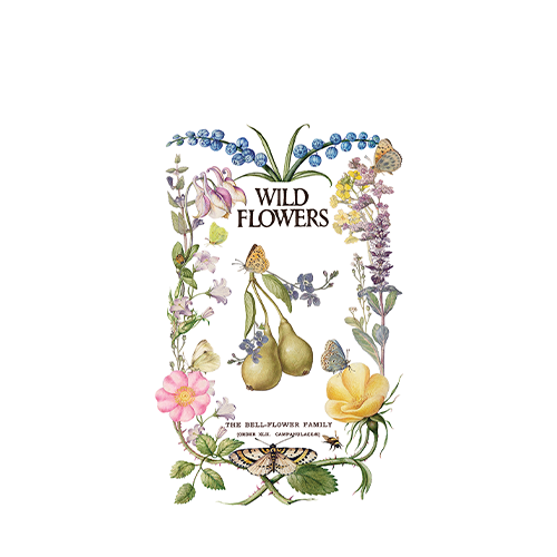 Texas In-Laws IOD Primrose Isle Decor Transfer (pad of 8 8"x12" sheets) by Iron Orchid Designs