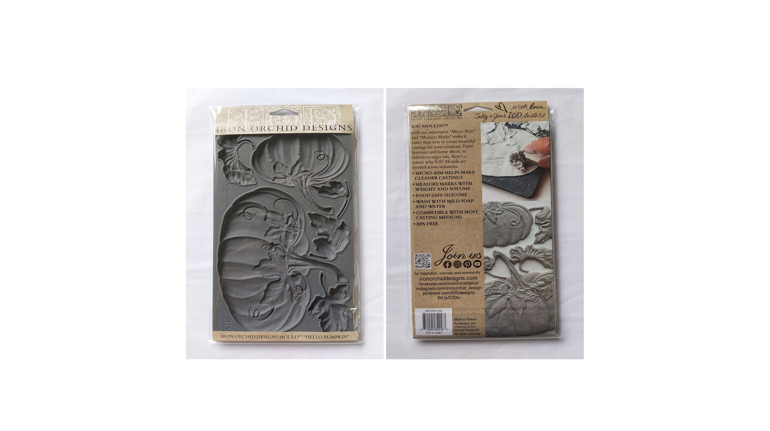 Texas In-Laws IOD Decor Mould Hello Pumpkin 6"x10" by Iron Orchid Designs