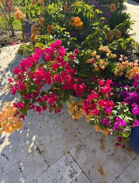 Annual Spring Garden Party - Roots &amp; Relics