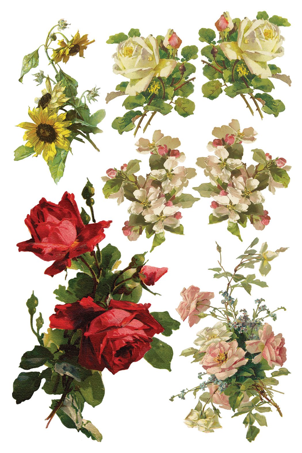 Texas In-Laws IOD DECOR TRANSFER CATHARINA (Pad of 8 8X12 Sheets) BY IRON ORCHID DESIGNS