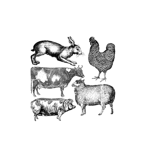 IOD Farm Animals Decor Stamp (1 Sheet Set) 12"x12" by Iron Orchid Designs