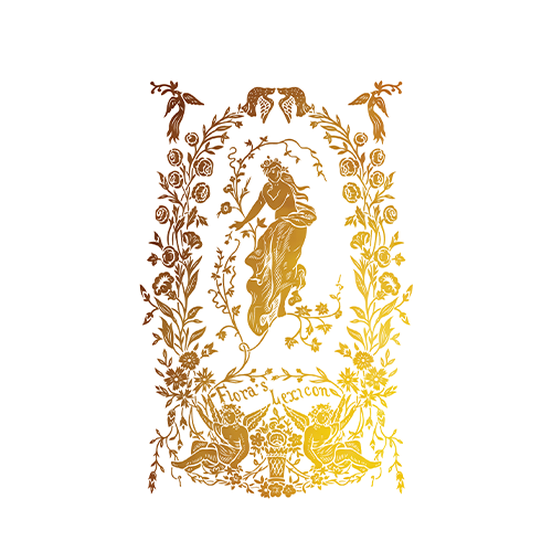 Texas In-Laws IOD Athenaeum Foil Decor Transfer (Pad of 8 8X12) By Iron Orchid Designs