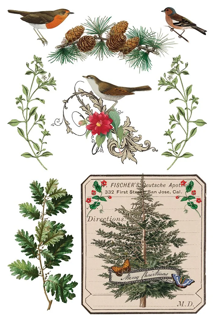 Texas In-Laws IOD Decor Transfer Winter Botanist (pad of 8 8"x12" sheets) by Iron Orchid Designs