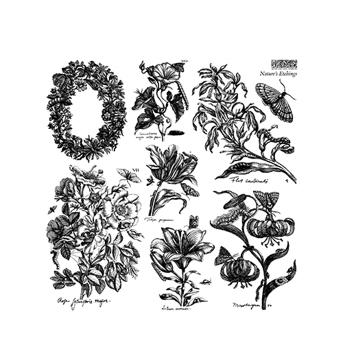 Texas In-Laws IOD Nature's Etchings Decor Stamp (2 Sheet Set) 12"x12" by Iron Orchid Designs