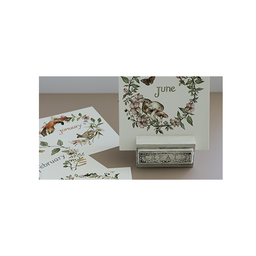Texas In-Laws IOD The Bramblewood Diaries Decor Transfer 8 Pages (8X12 Pad) By Iron Orchid Designs