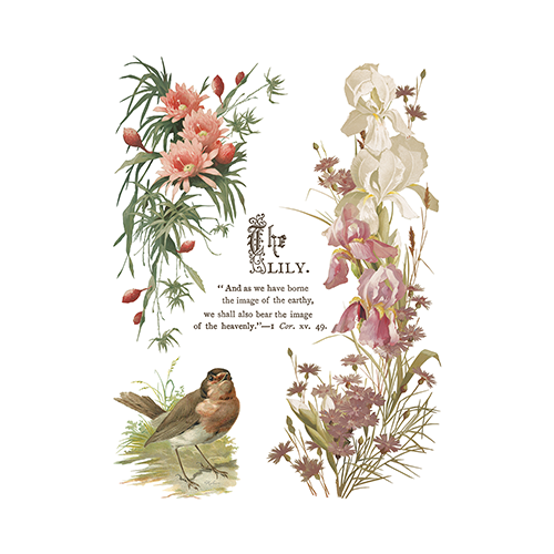 Texas In-Laws IOD Flowers by the Poets Decor Transfer (pad of 8 12"x16" sheets) by Iron Orchid Designs