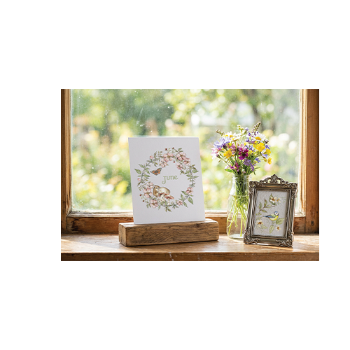 Texas In-Laws IOD The Bramblewood Diaries Decor Transfer 8 Pages (8X12 Pad) By Iron Orchid Designs