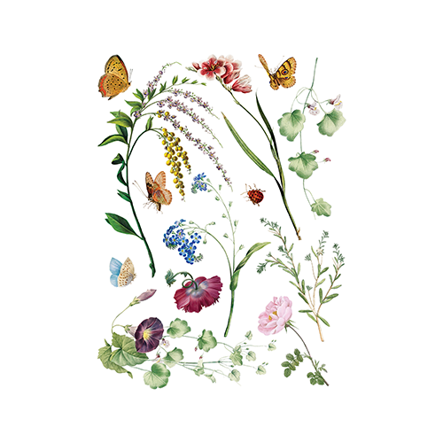 Texas In-Laws IOD Marché des Fleurs Decor Transfer (Pad of 8 12"x16" sheets) by Iron Orchid Designs