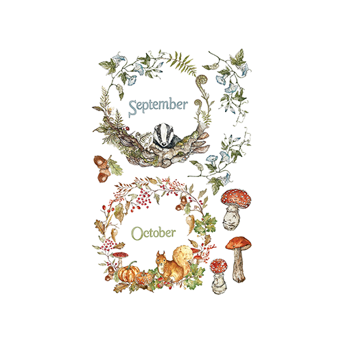 Texas In-Laws IOD The Bramblewood Diaries Decor Transfer 8 Pages (8X12 Pad) By Iron Orchid Designs
