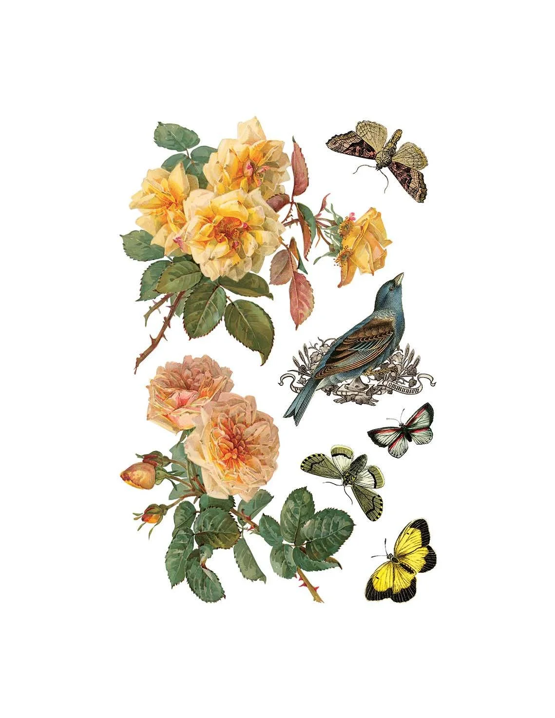 Texas In-Laws IOD By Any Other Name Decor Transfer (pad of 8 8"x12" sheets) by Iron Orchid Designs