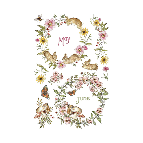 Texas In-Laws IOD The Bramblewood Diaries Decor Transfer 8 Pages (8X12 Pad) By Iron Orchid Designs