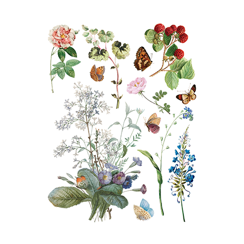 Texas In-Laws IOD Marché des Fleurs Decor Transfer (Pad of 8 12"x16" sheets) by Iron Orchid Designs