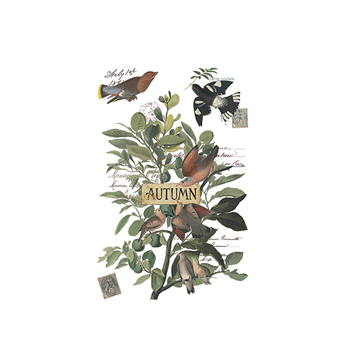 Texas In-Laws IOD Winter's Calling Decor Transfer 8 Pages (8X12 Pad) By Iron Orchid Designs