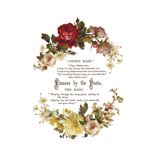 Texas In-Laws IOD Flowers by the Poets Decor Transfer (pad of 8 12"x16" sheets) by Iron Orchid Designs