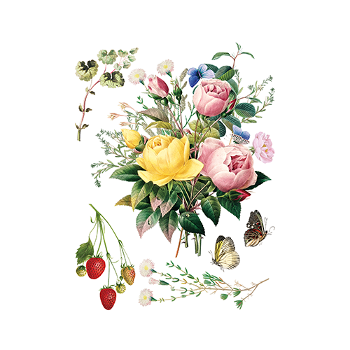 Texas In-Laws IOD Marché des Fleurs Decor Transfer (Pad of 8 12"x16" sheets) by Iron Orchid Designs