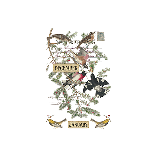Texas In-Laws IOD Winter's Calling Decor Transfer 8 Pages (8X12 Pad) By Iron Orchid Designs