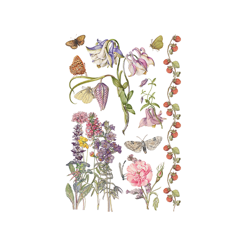 Texas In-Laws IOD Primrose Isle Decor Transfer (pad of 8 8"x12" sheets) by Iron Orchid Designs