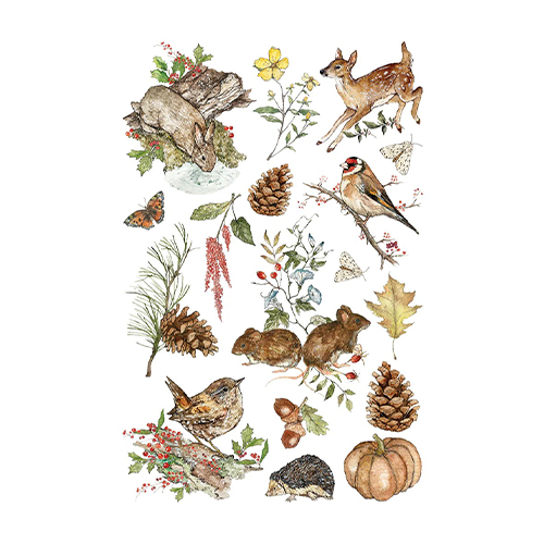 Texas In-Laws IOD The Bramblewood Diaries Decor Transfer 8 Pages (8X12 Pad) By Iron Orchid Designs