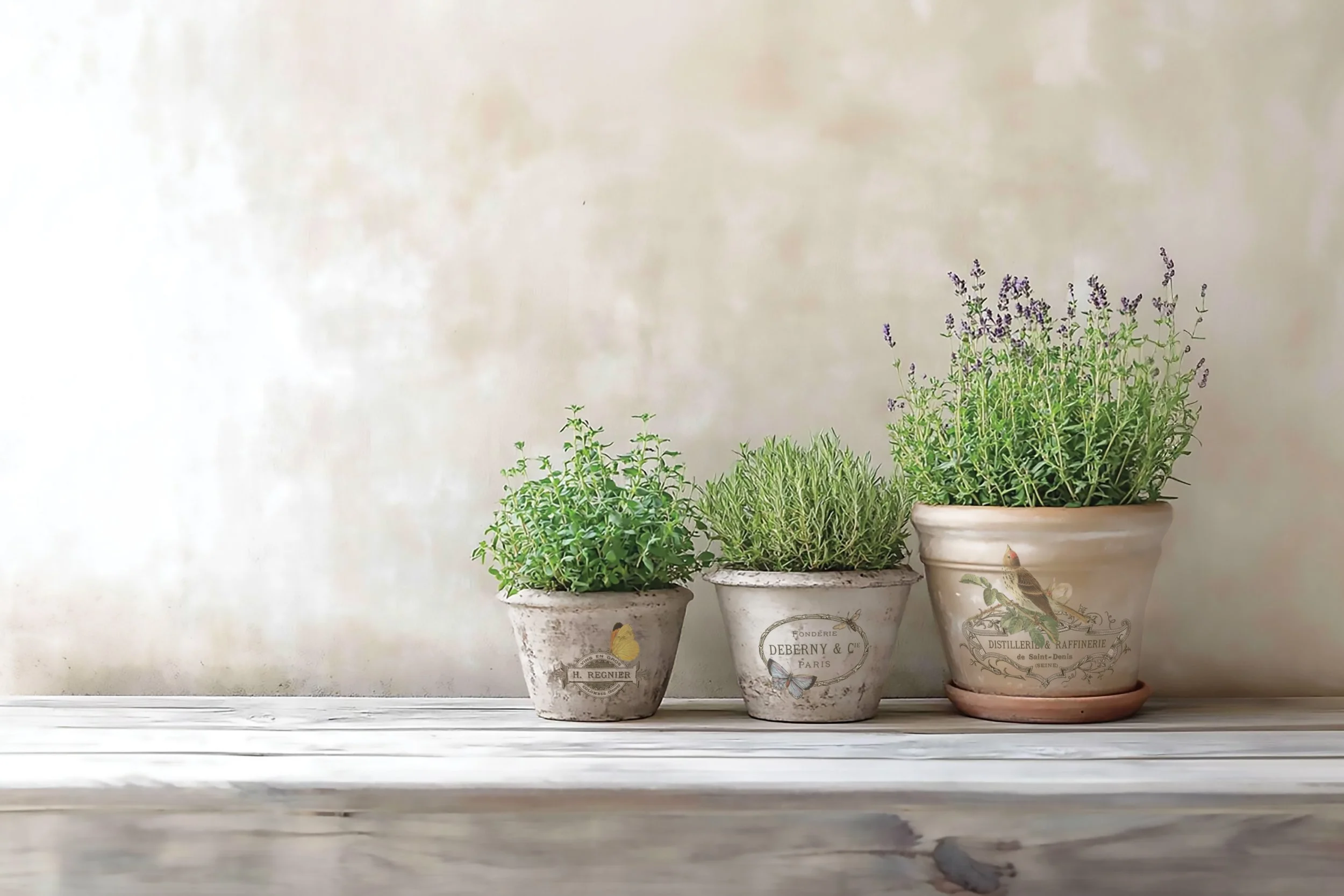 Texas In-Laws IOD By Any Other Name Decor Transfer (pad of 8 8"x12" sheets) by Iron Orchid Designs