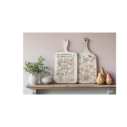 Texas In-Laws IOD Primrose Isle Decor Transfer (pad of 8 8"x12" sheets) by Iron Orchid Designs