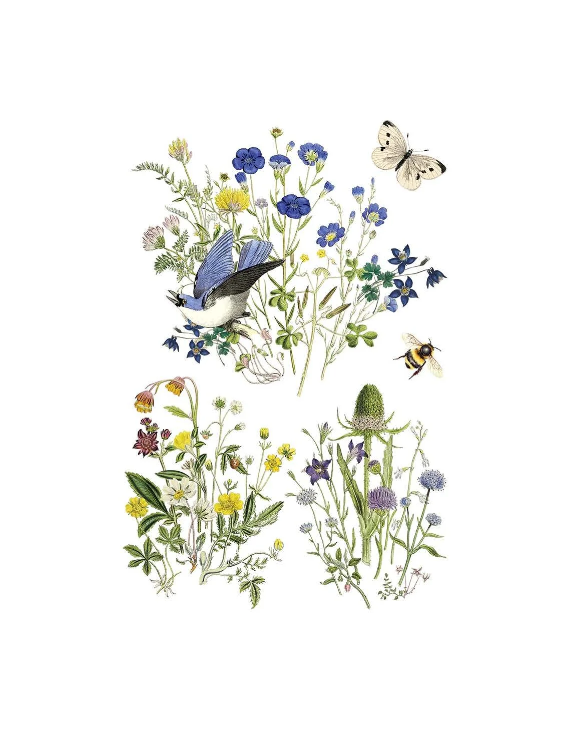 Texas In-Laws IOD Flora Greca Decor Transfer (Pad of 8 8X12 Sheets) By Iron Orchid Designs