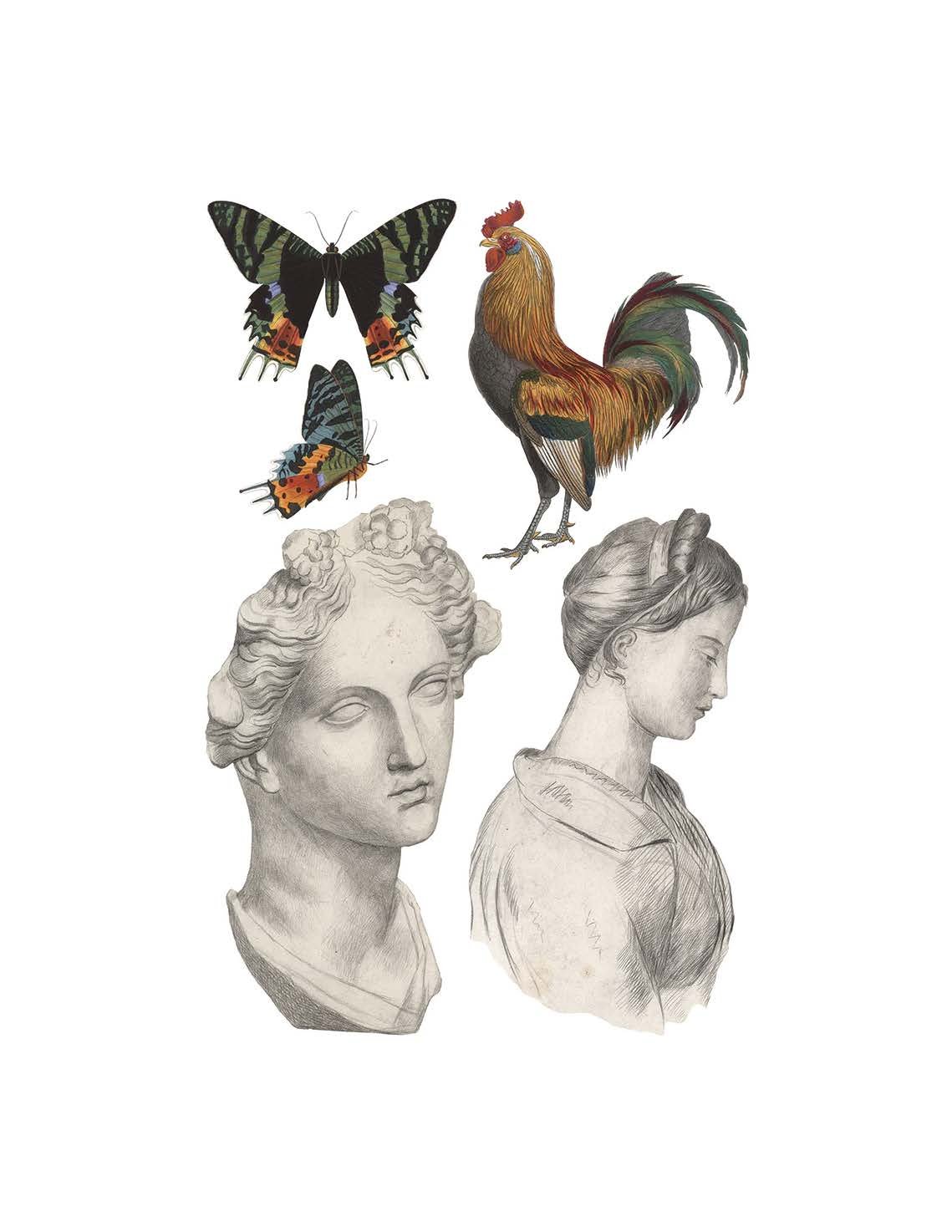 IOD Saint Ouen Decor Transfer  (pad of 8 8"x12" sheets) by Iron Orchid Designs