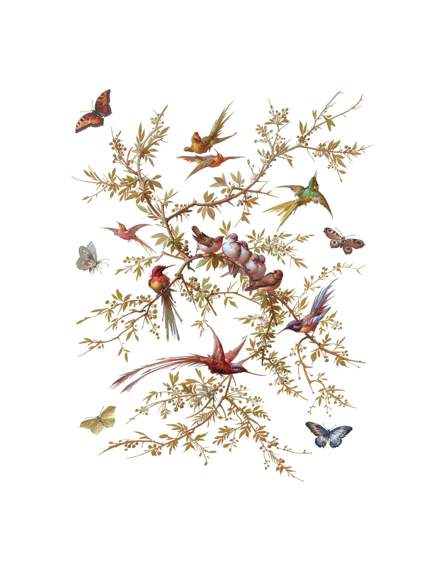 IOD Madeleine Decor Transfer (pad of 8 12"x16" sheets) by Iron Orchid Designs