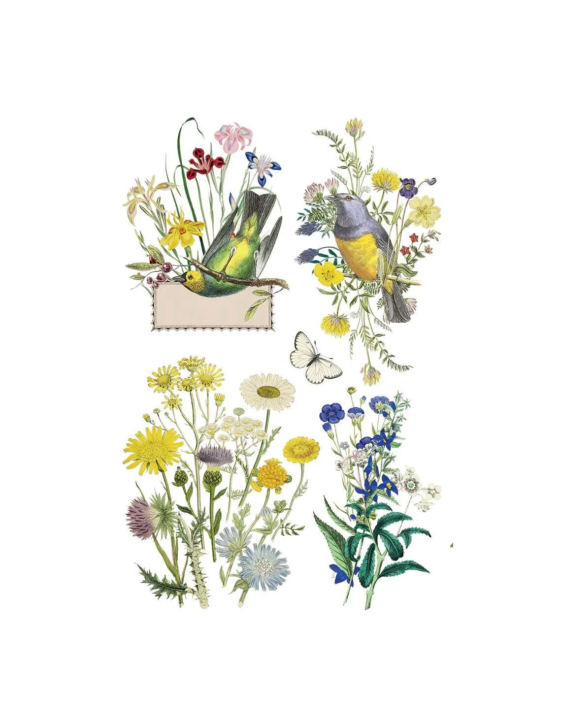 Texas In-Laws IOD Flora Greca Decor Transfer (Pad of 8 8X12 Sheets) By Iron Orchid Designs