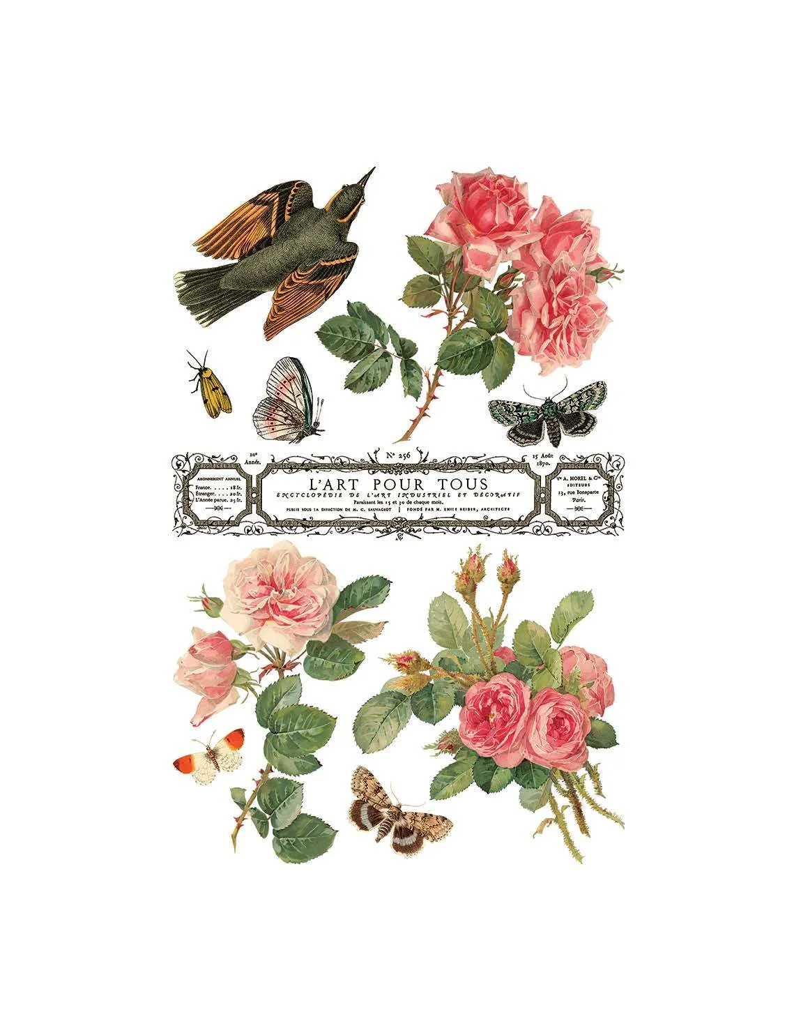 Texas In-Laws IOD By Any Other Name Decor Transfer (pad of 8 8"x12" sheets) by Iron Orchid Designs