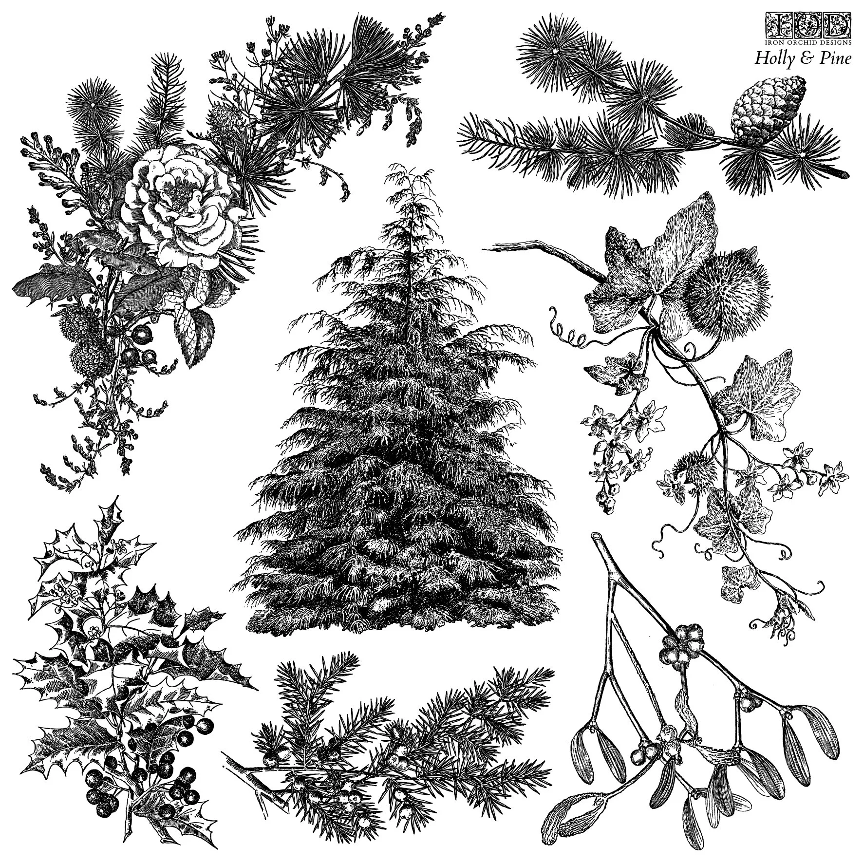 Texas In-Laws IOD Decor Holly & Pine Stamp (1 Sheet Set) 12"x12" by Iron Orchid Designs