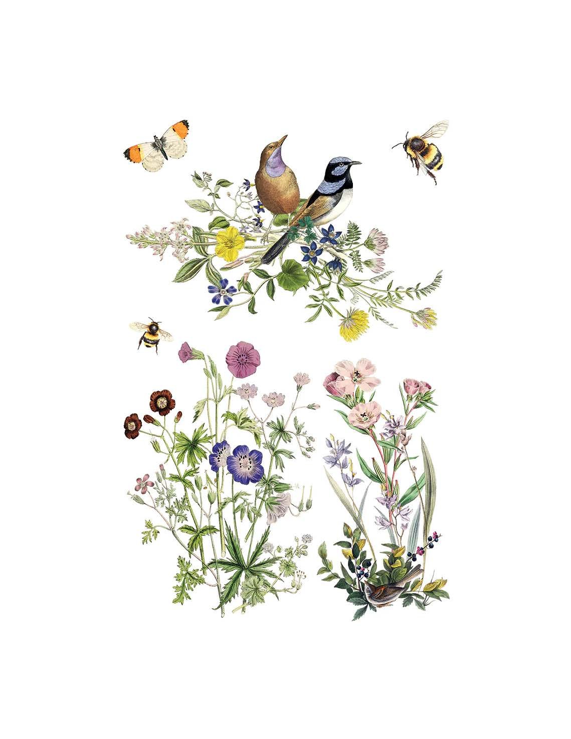 Texas In-Laws IOD Flora Greca Decor Transfer (Pad of 8 8X12 Sheets) By Iron Orchid Designs