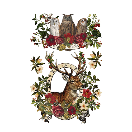 Texas In-Laws IOD Stag Tavern Decor Transfer 8 Pages (8X12 Pad) By Iron Orchid Designs