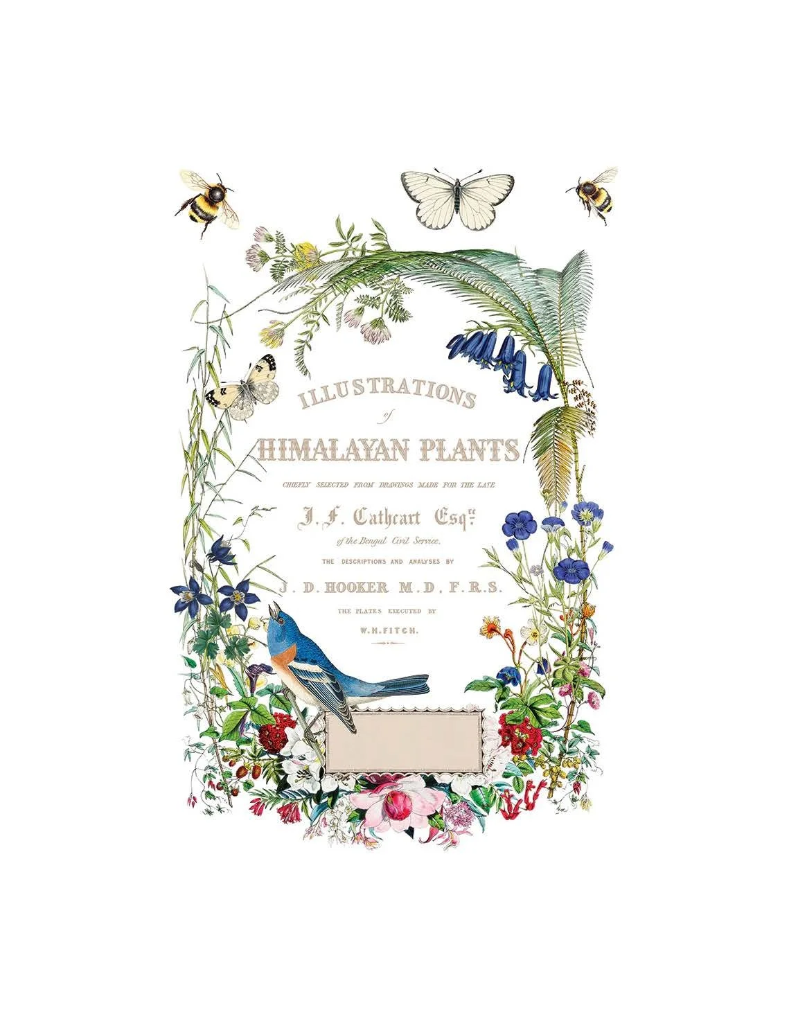 Texas In-Laws IOD Flora Greca Decor Transfer (Pad of 8 8X12 Sheets) By Iron Orchid Designs