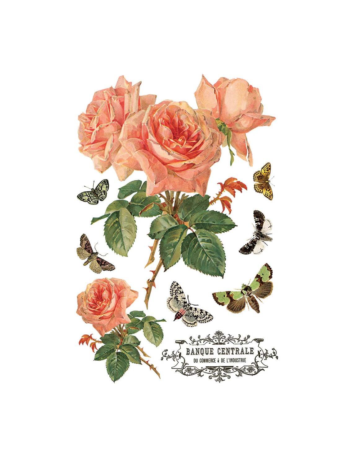 Texas In-Laws IOD By Any Other Name Decor Transfer (pad of 8 8"x12" sheets) by Iron Orchid Designs