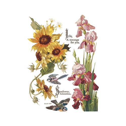 Texas In-Laws IOD Flowers by the Poets Decor Transfer (pad of 8 12"x16" sheets) by Iron Orchid Designs