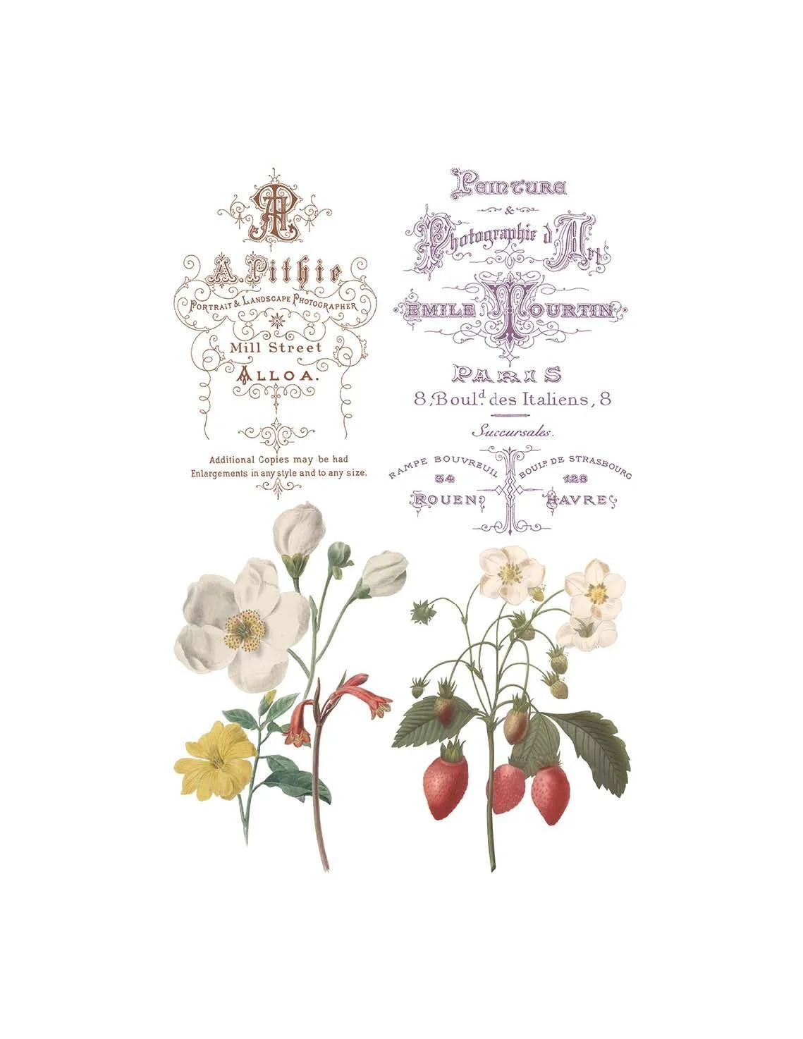 IOD Saint Ouen Decor Transfer  (pad of 8 8"x12" sheets) by Iron Orchid Designs