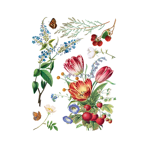 Texas In-Laws IOD Marché des Fleurs Decor Transfer (Pad of 8 12"x16" sheets) by Iron Orchid Designs