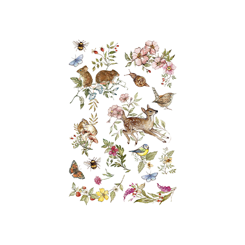 Texas In-Laws IOD The Bramblewood Diaries Decor Transfer 8 Pages (8X12 Pad) By Iron Orchid Designs