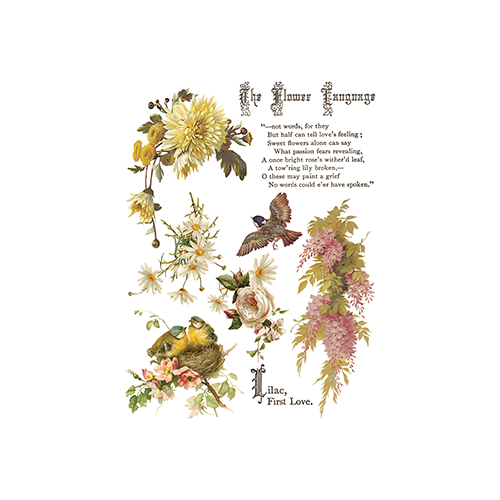 Texas In-Laws IOD Flowers by the Poets Decor Transfer (pad of 8 12"x16" sheets) by Iron Orchid Designs
