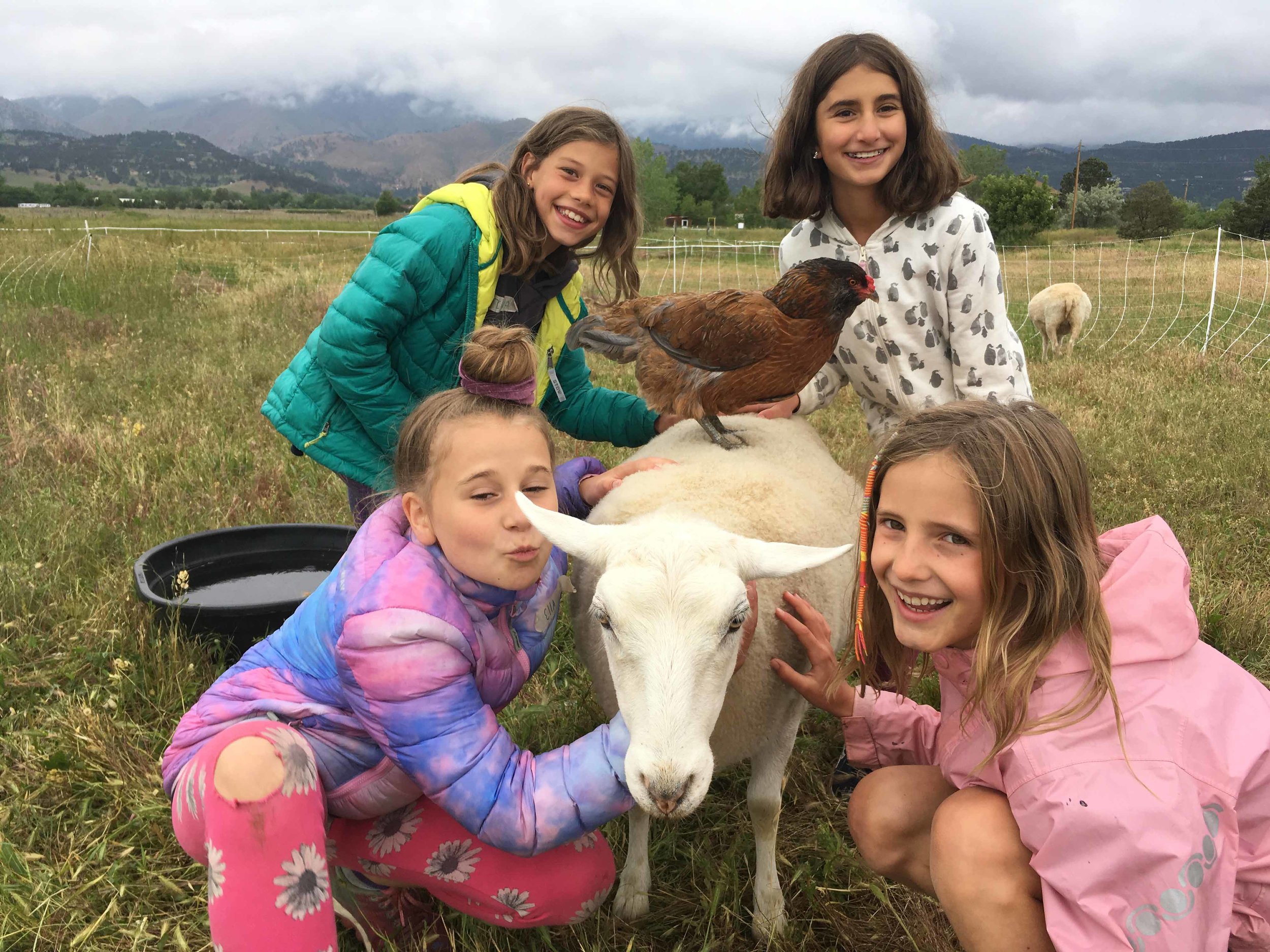 Campkidswithcrazyanimals.JPG