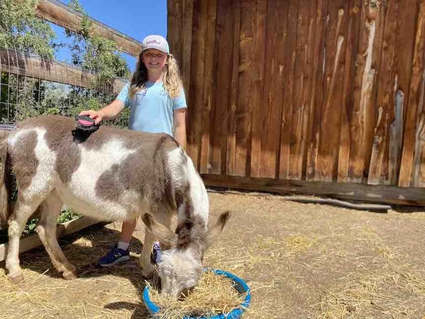 Low ResTeenatJuniperHill .jpeg