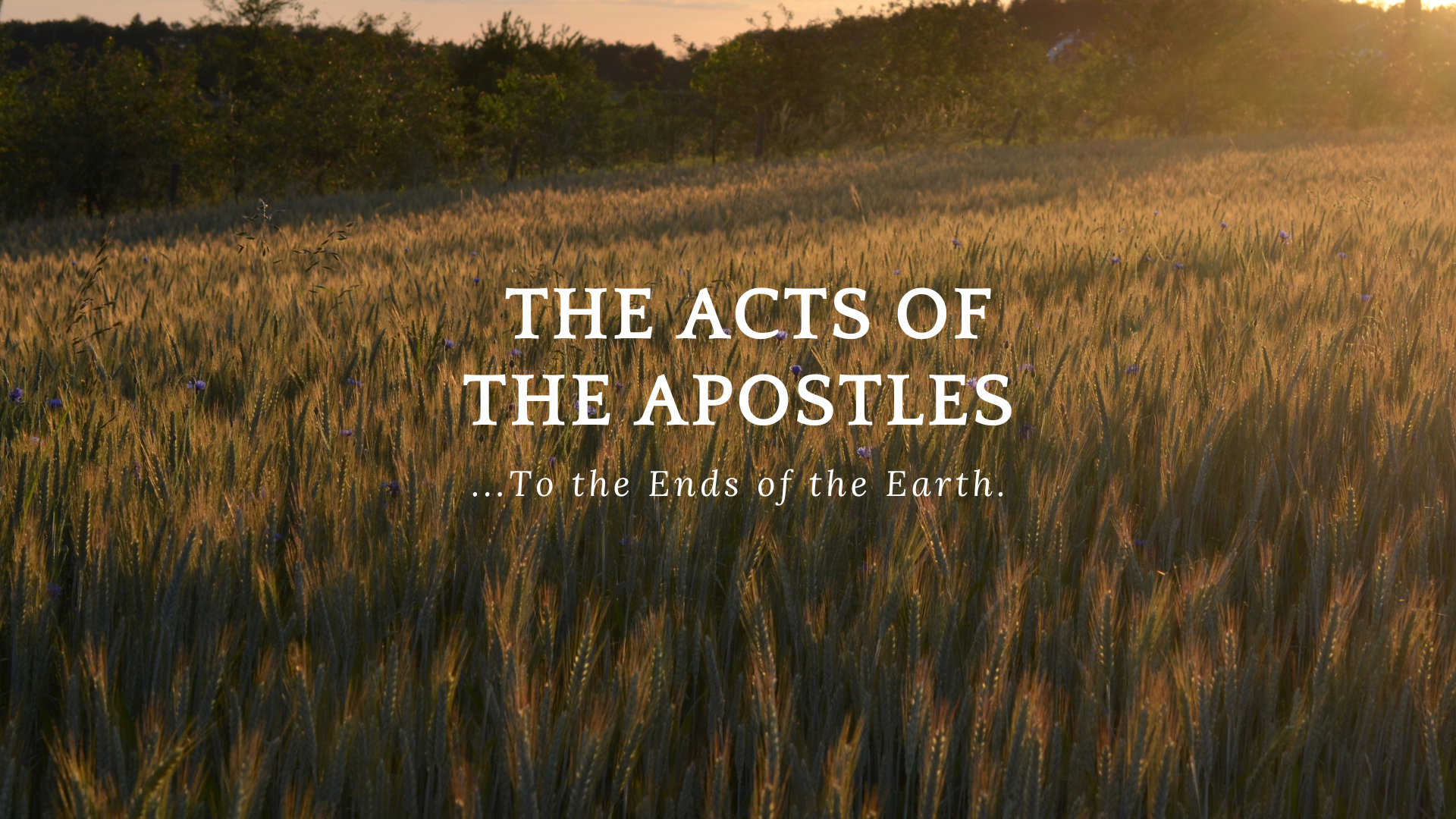 Acts of the Apostles.png