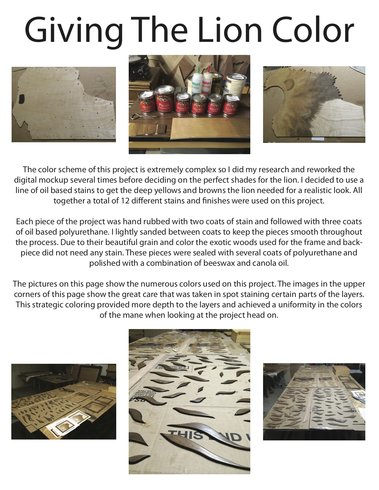 DreierLionTimeline6 copy.jpg