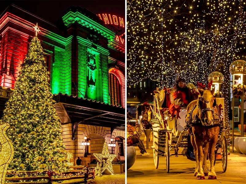 Denver Holiday Lights Cannabis Tour